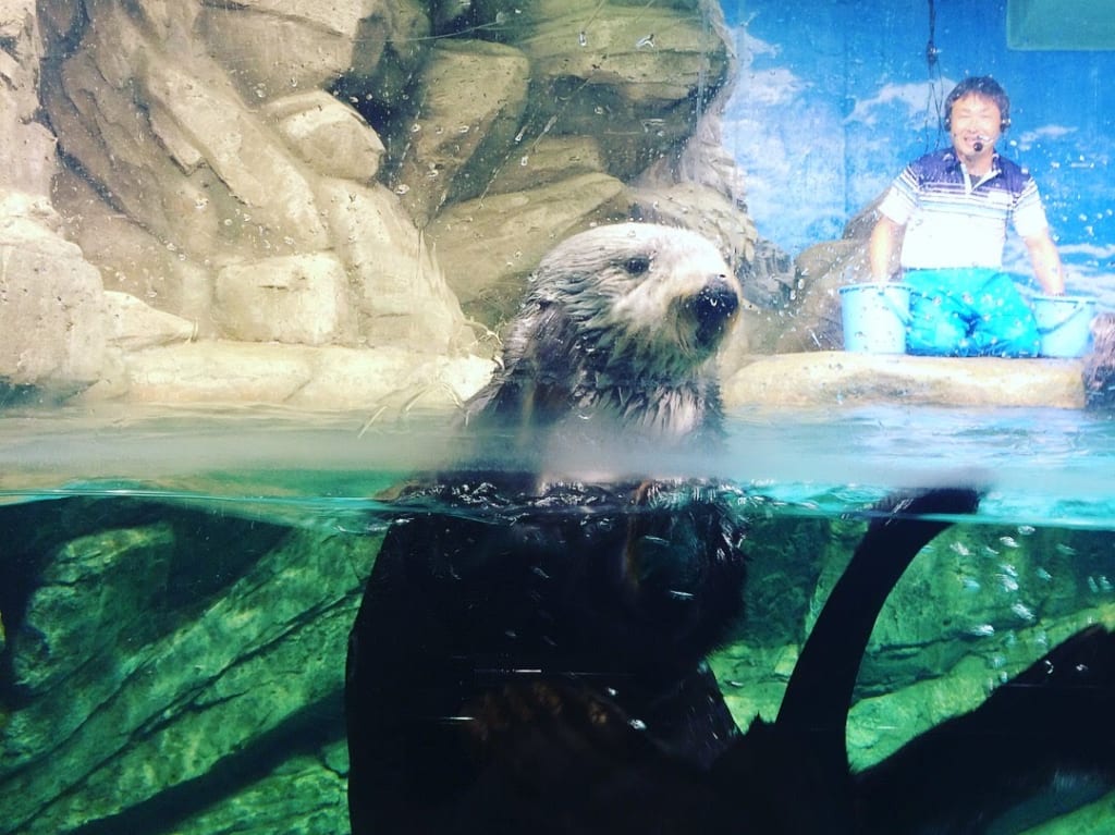 マリンワールド