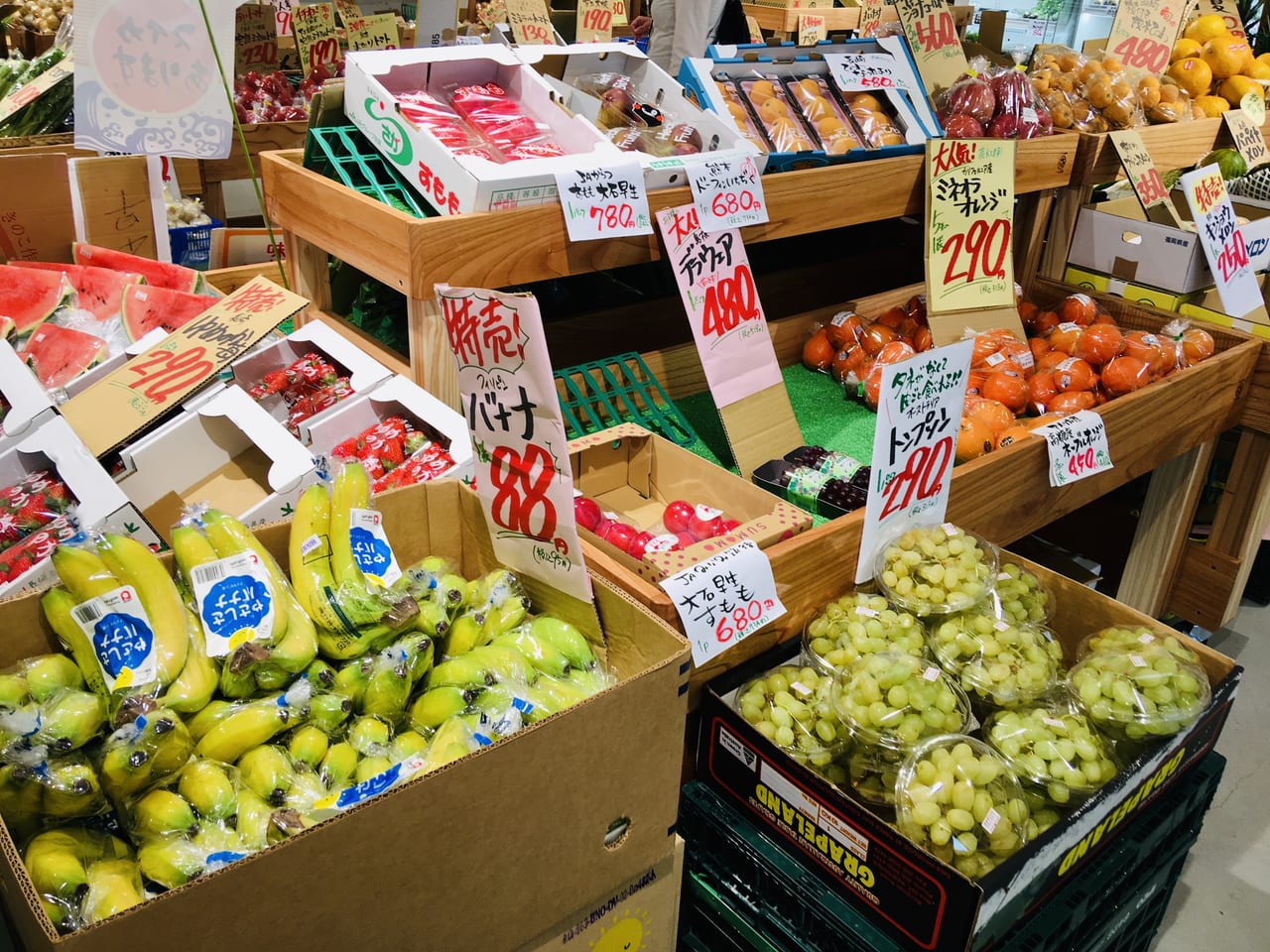 やおや植木商店