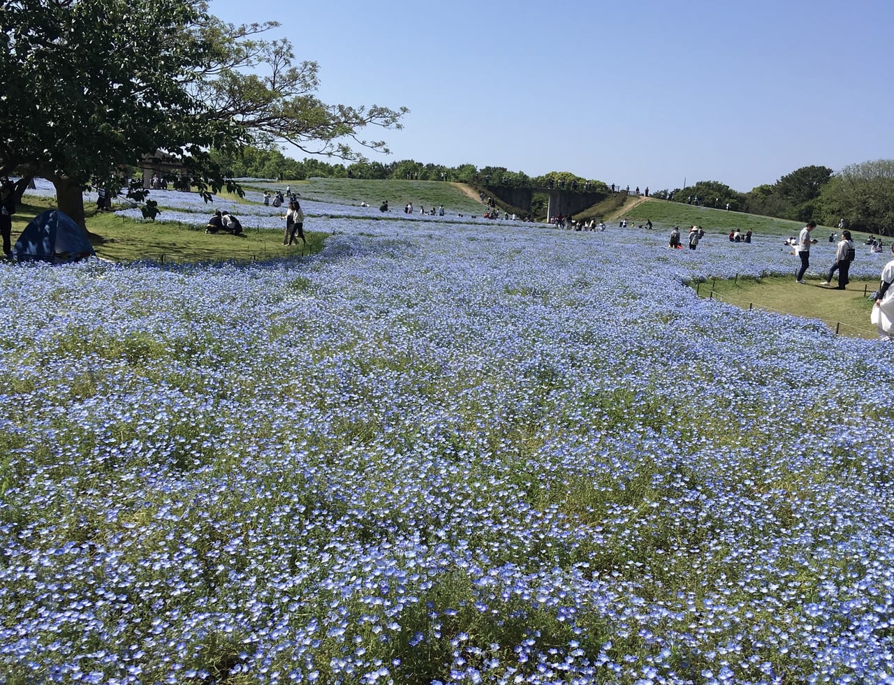 海の中道