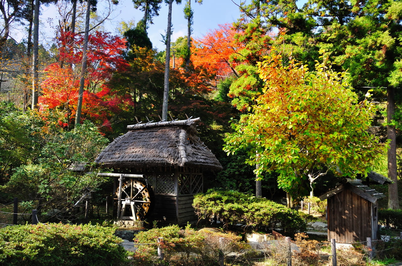 油山市民の森