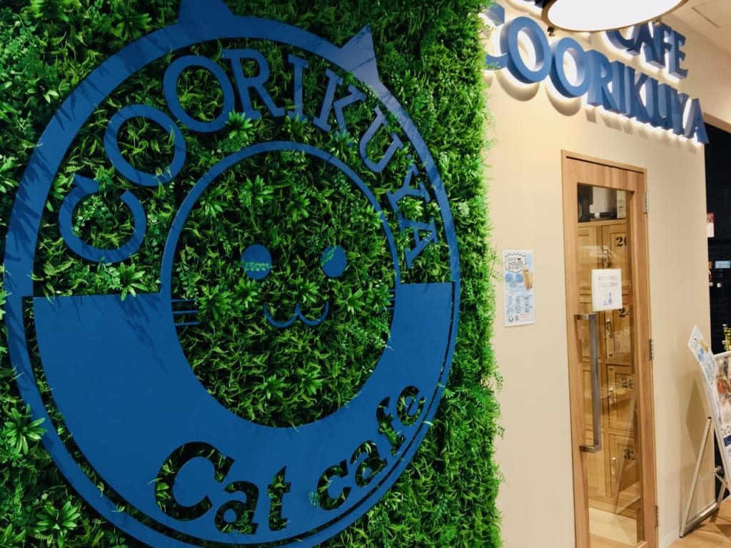 cat cafe COORIKUYA