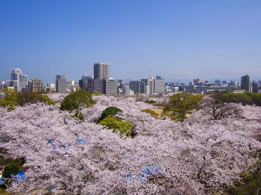 福岡城さくらまつり