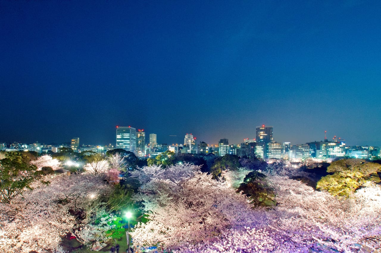 福岡城さくらまつり