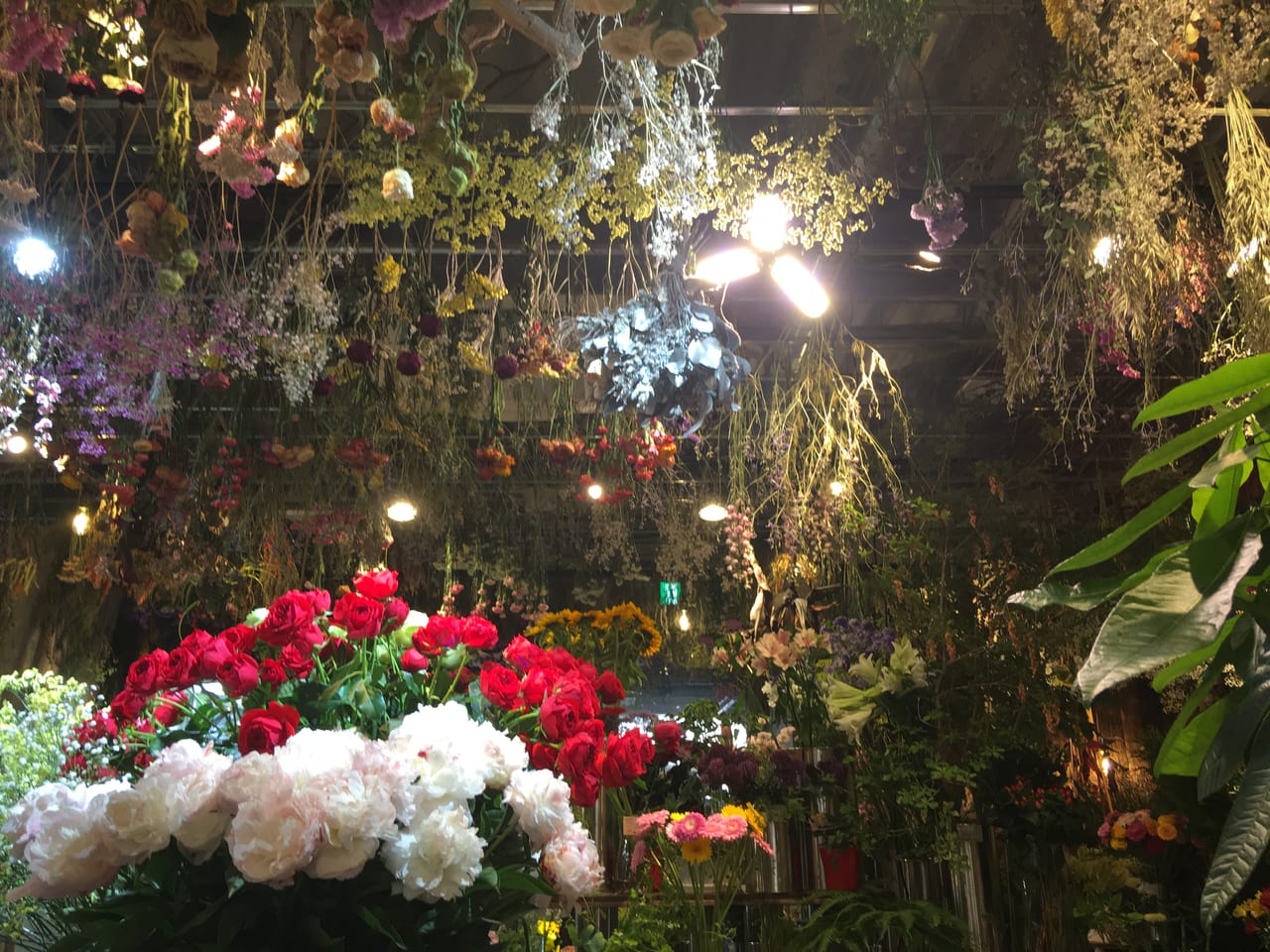 福岡市東区 素敵がいっぱいすぎるお花屋さん お花に囲まれながら過ごす時間は最高の癒やしです 号外net 福岡市東区