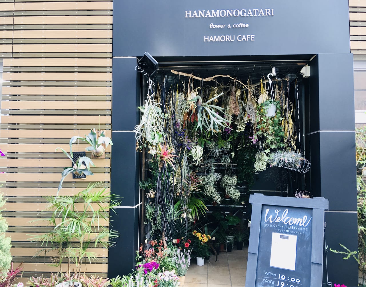 HANAMONOGATARI_HAMORU_CAFE