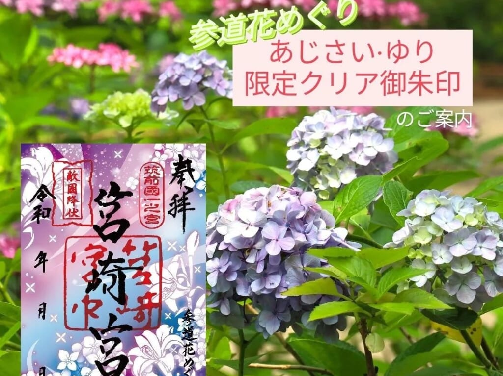 2024年6月1日(土)～6月30日(日)の期間限定で、2023年に好評だった『あじさい・ゆり 限定クリア御朱印』が、2024年も授与されています。